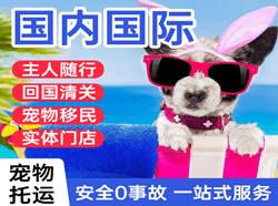 义乌空运公司国际宠物托运 【国